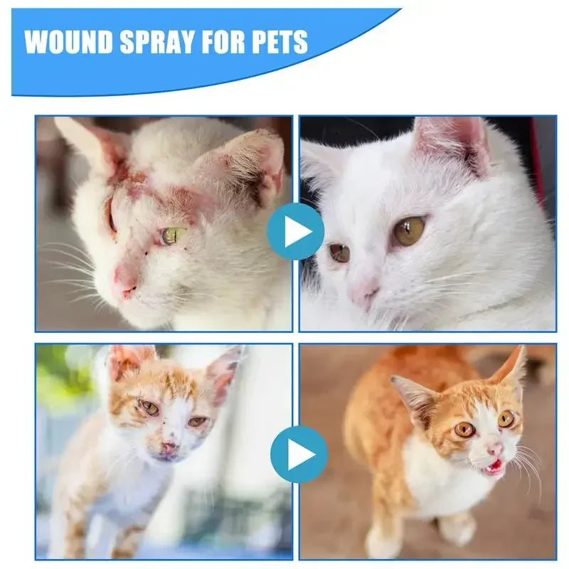 Spray Cuidado de Piel para Mascotas 30ml - Alivio del Picor para Perros y Gatos, Piel Sensible e Irritada